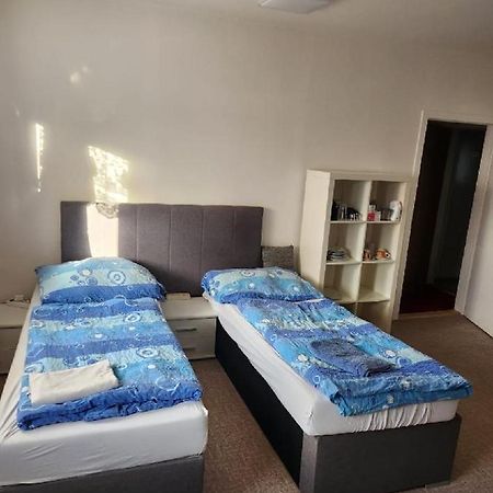 Homestay U Hanky Zdiby エクステリア 写真