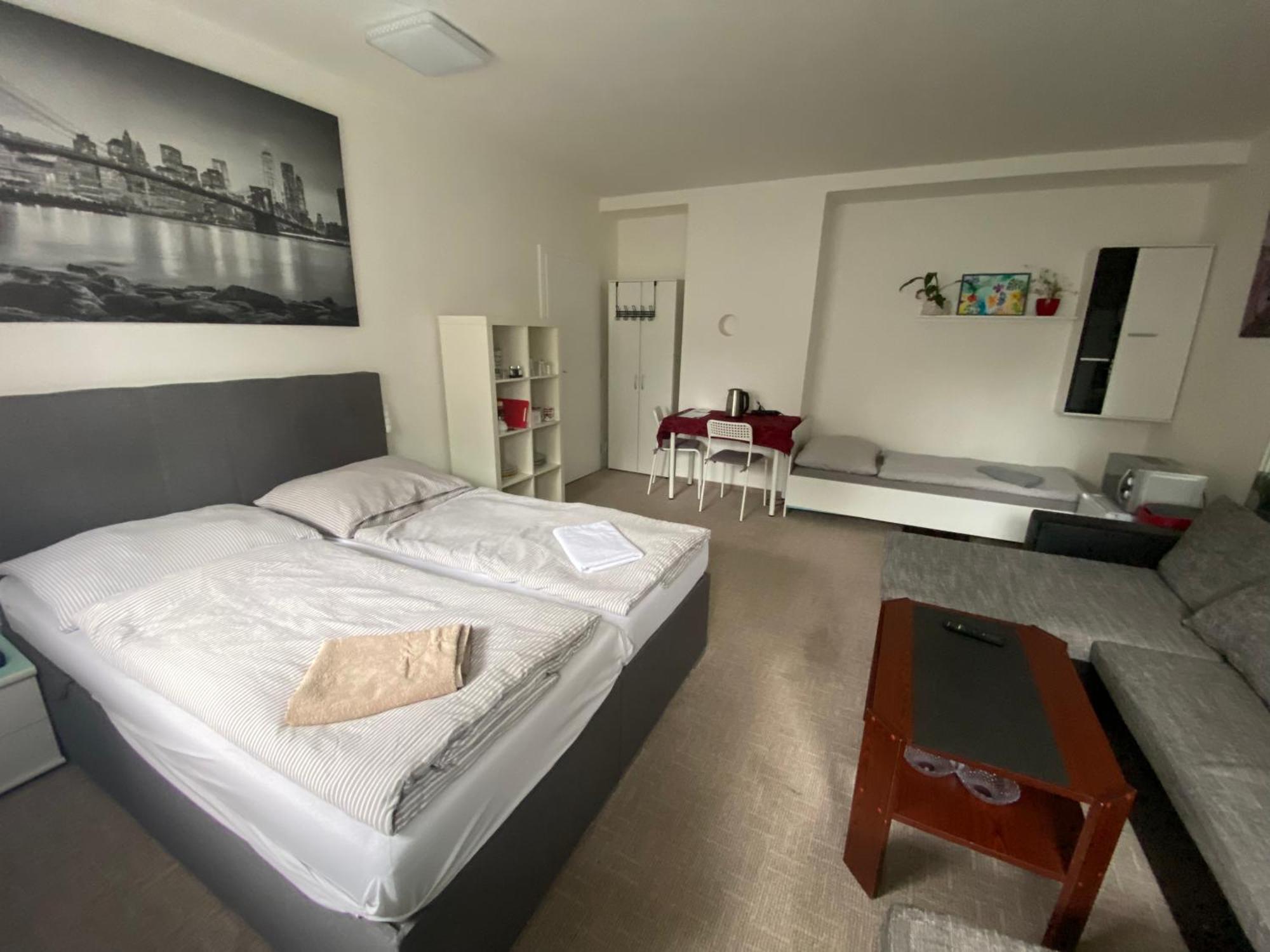 Homestay U Hanky Zdiby エクステリア 写真